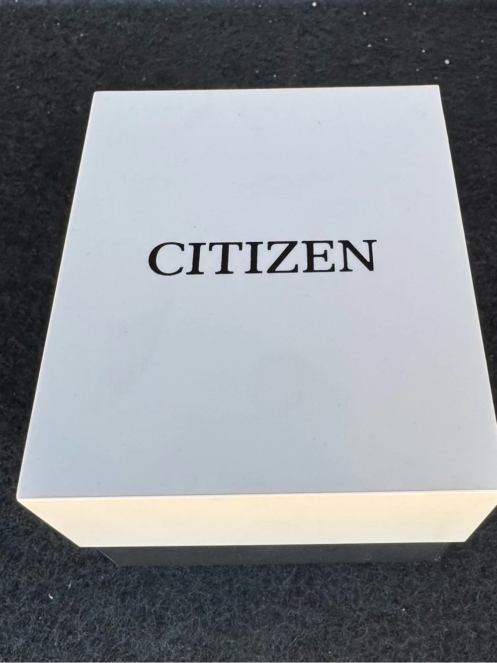 Citizen Nighthawk